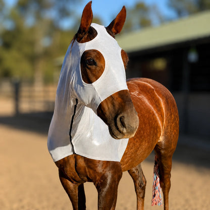 A brown horse standing in a sandy outdoor stable area wearing a metallic silver sleazy hood over its head and neck.