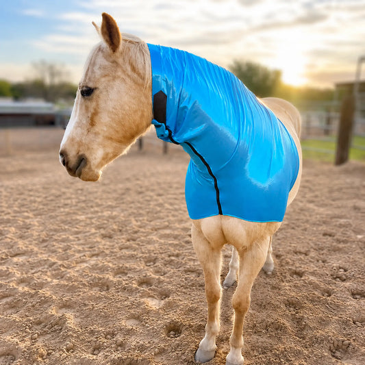 Horse wearing a metallic teal faceless sleazy hood in an outdoor setting