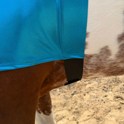 A close-up of a horse wearing a metallic teal blue sleazy hood, with the horse's brown and white coat visible and a black strap at the base of the blanket, set against a sandy ground.