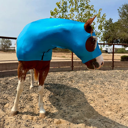 A brown and white horse wearing a metallic teal blue horse sleazy hood stands in a sandy outdoor paddock with a fence and trees in the background.