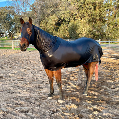 Metallic Black Full Body Sleazy from www.slickhorseware.com