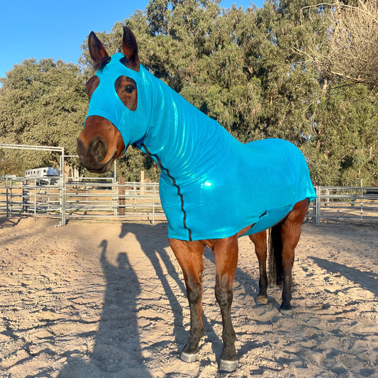 Metallic Turquoise Full Body Sleazy from www.slickhorseware.com