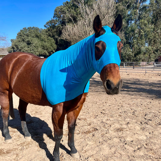 Metallic Turquoise Sleazy Hood from www.slickhorseware.com