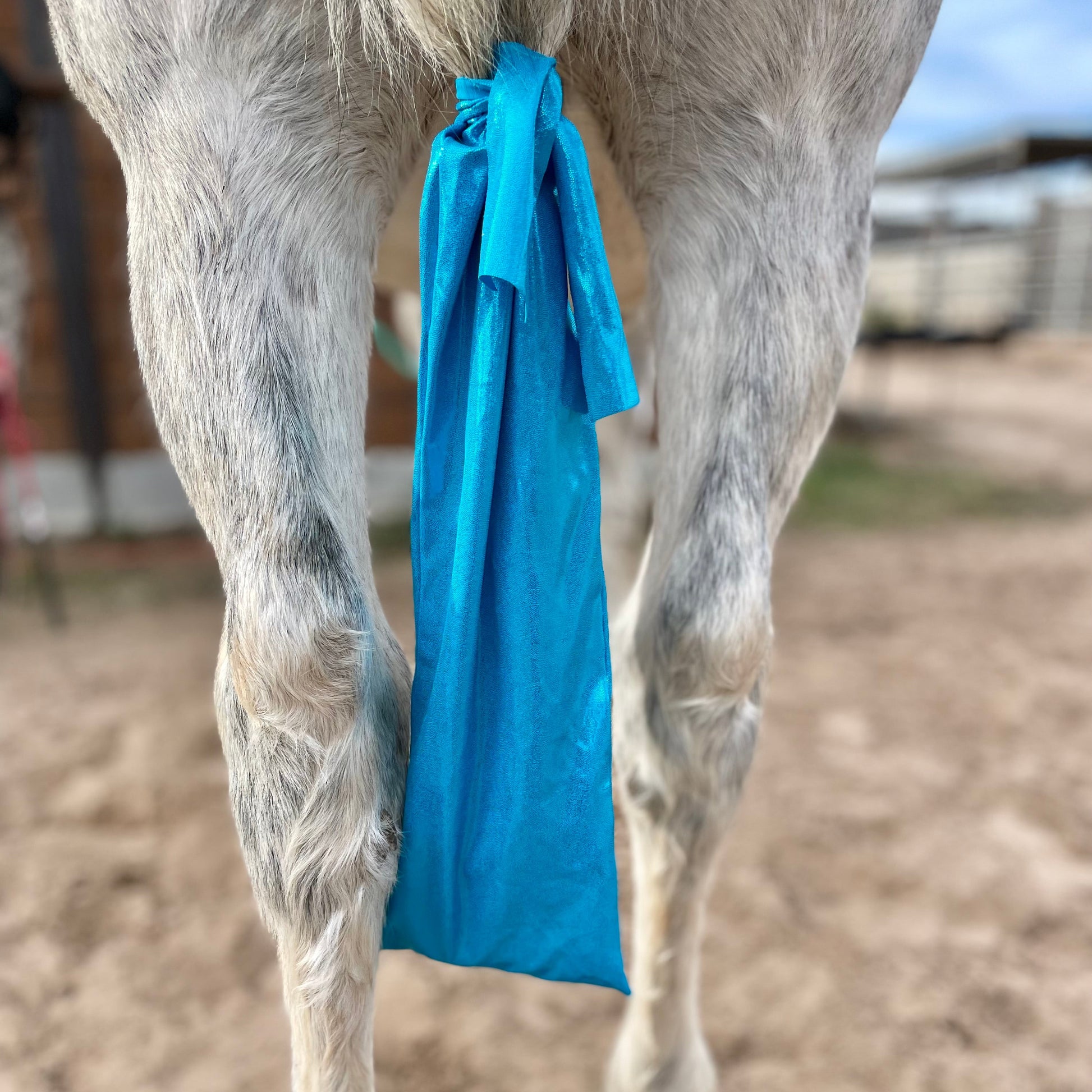 Metallic Turquoise Tailbag from www.slickhorseware.com