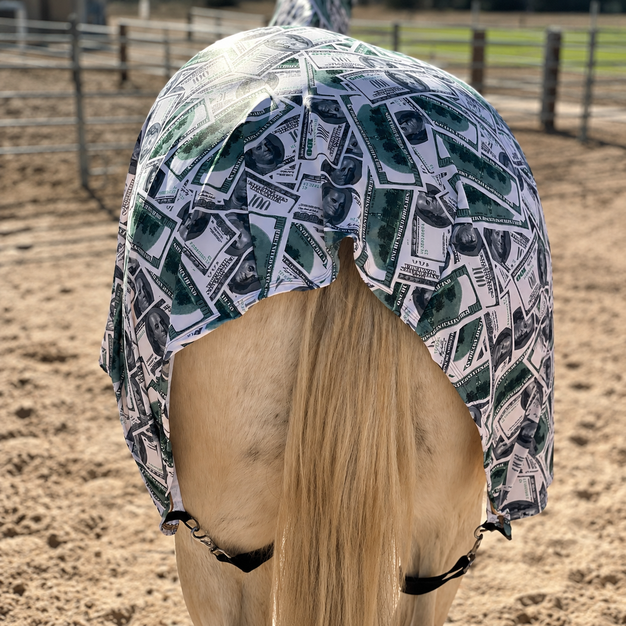 Money Faceless Full Body Sleazy