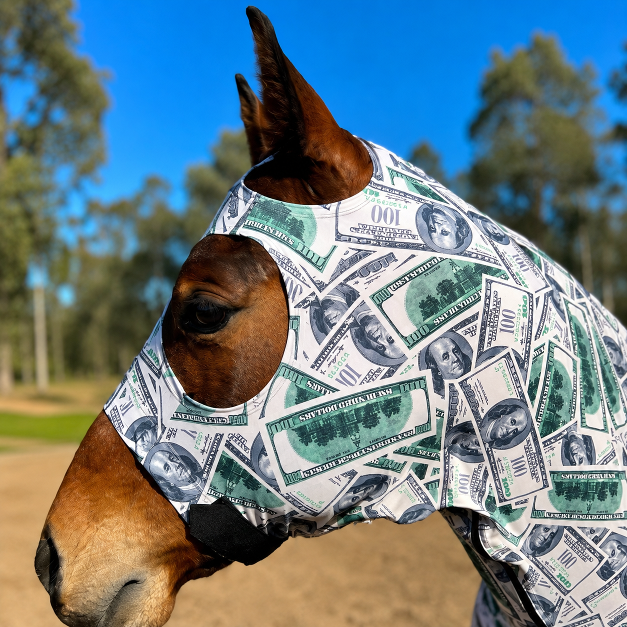 Money Hood Sleazy
