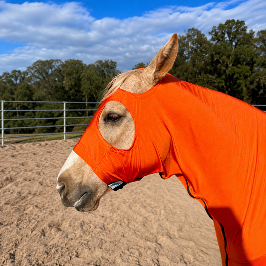 Orange Full Body Sleazy