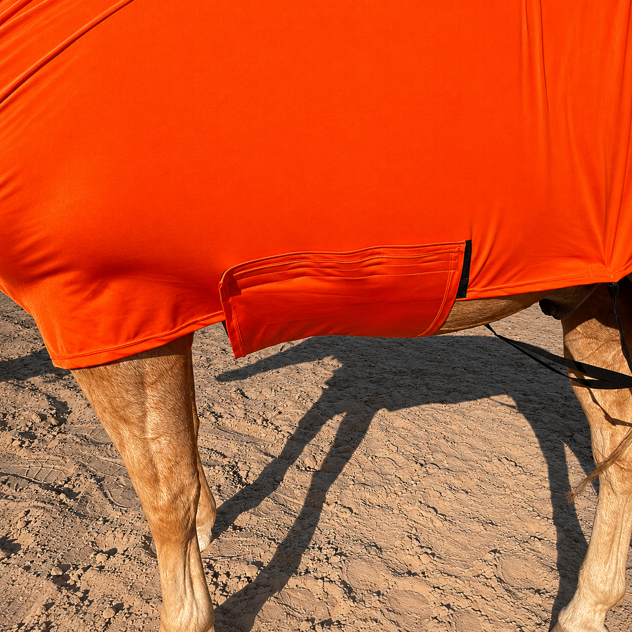 Orange Full Body Sleazy