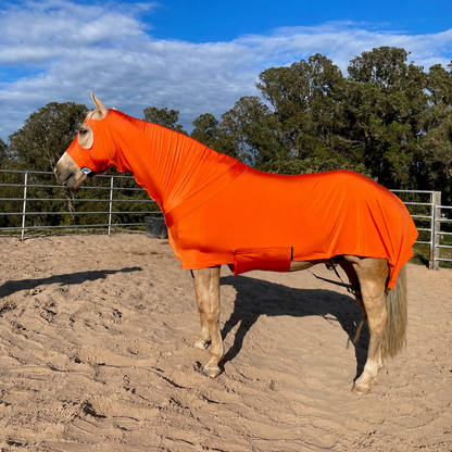 Orange Full Body Sleazy