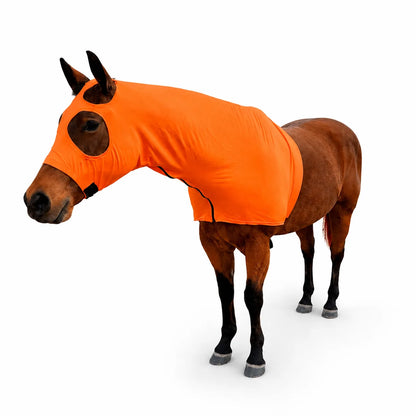 Orange Hood Sleazy
