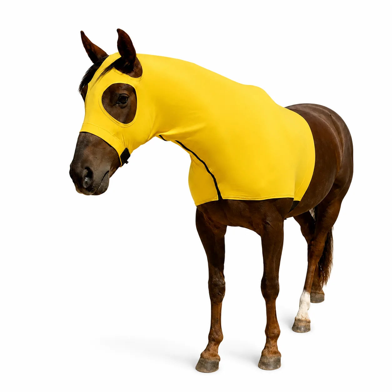 Yellow Hood Sleazy