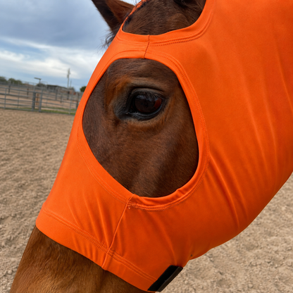 Orange Hood Sleazy