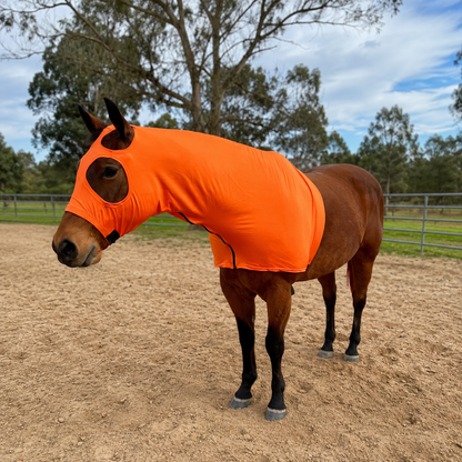Orange Hood by slickhorseware.com