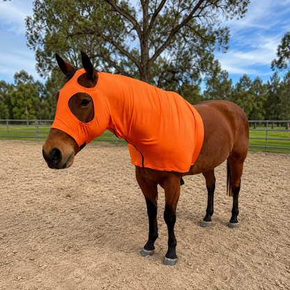 Orange Hood Sleazy