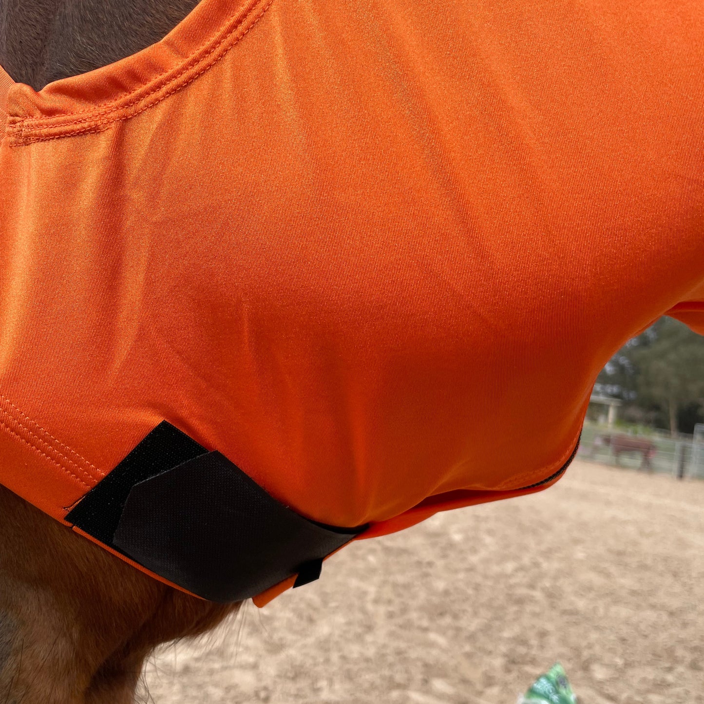 Orange Hood Sleazy