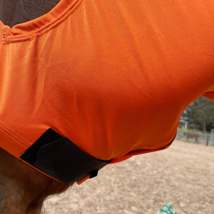 Orange Hood Sleazy