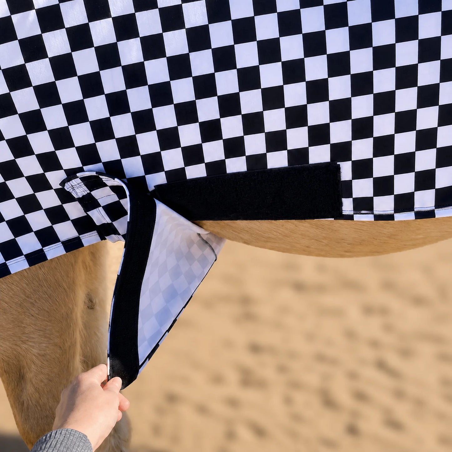 checkered black and white faceless full body sleazy belly view. 