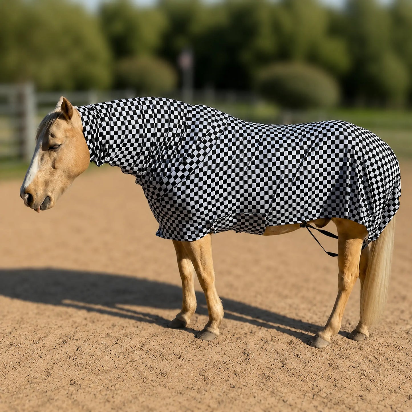 checkered black and white faceless full body sleazy side facing view. 
