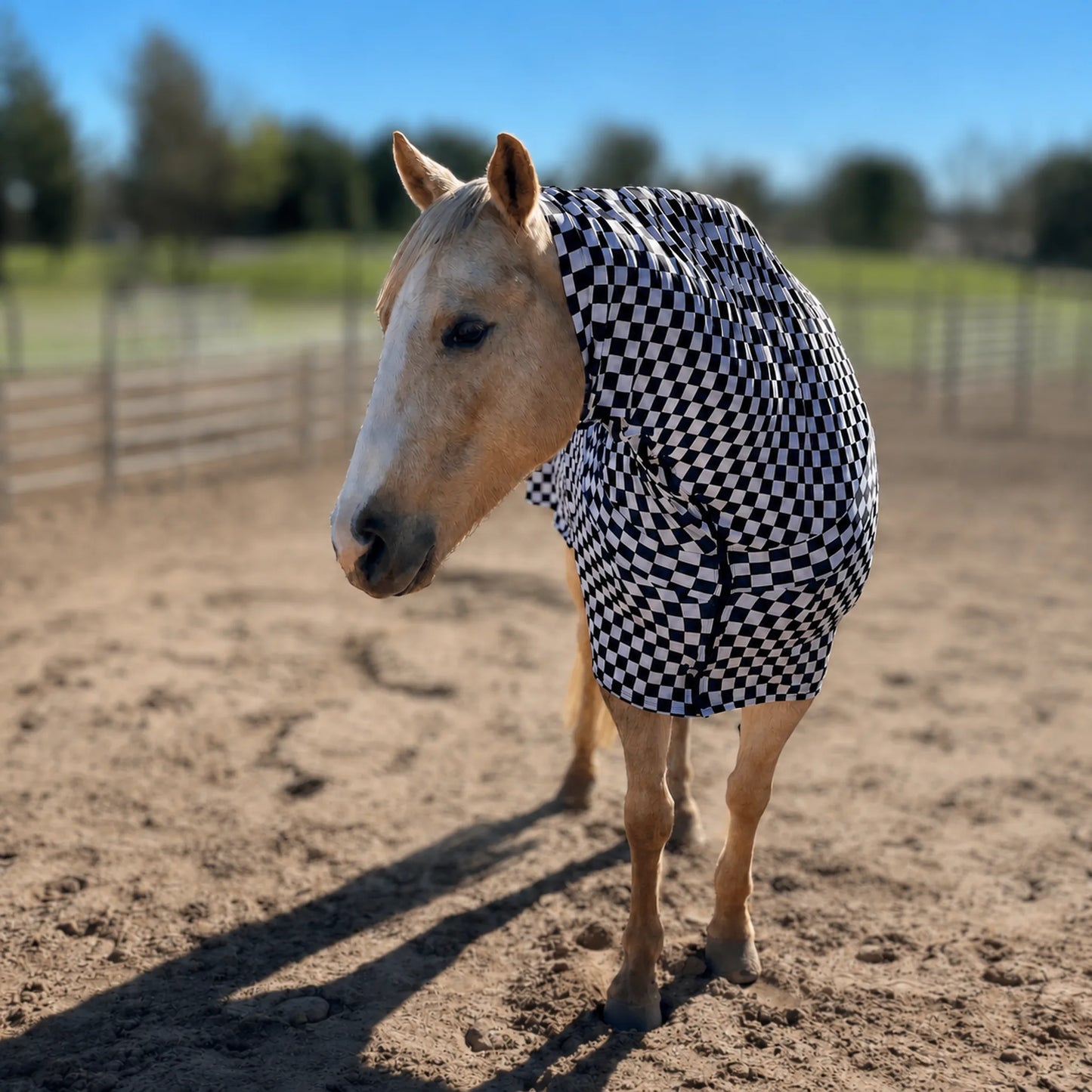 checkered black and white faceless full body sleazy front facing. 