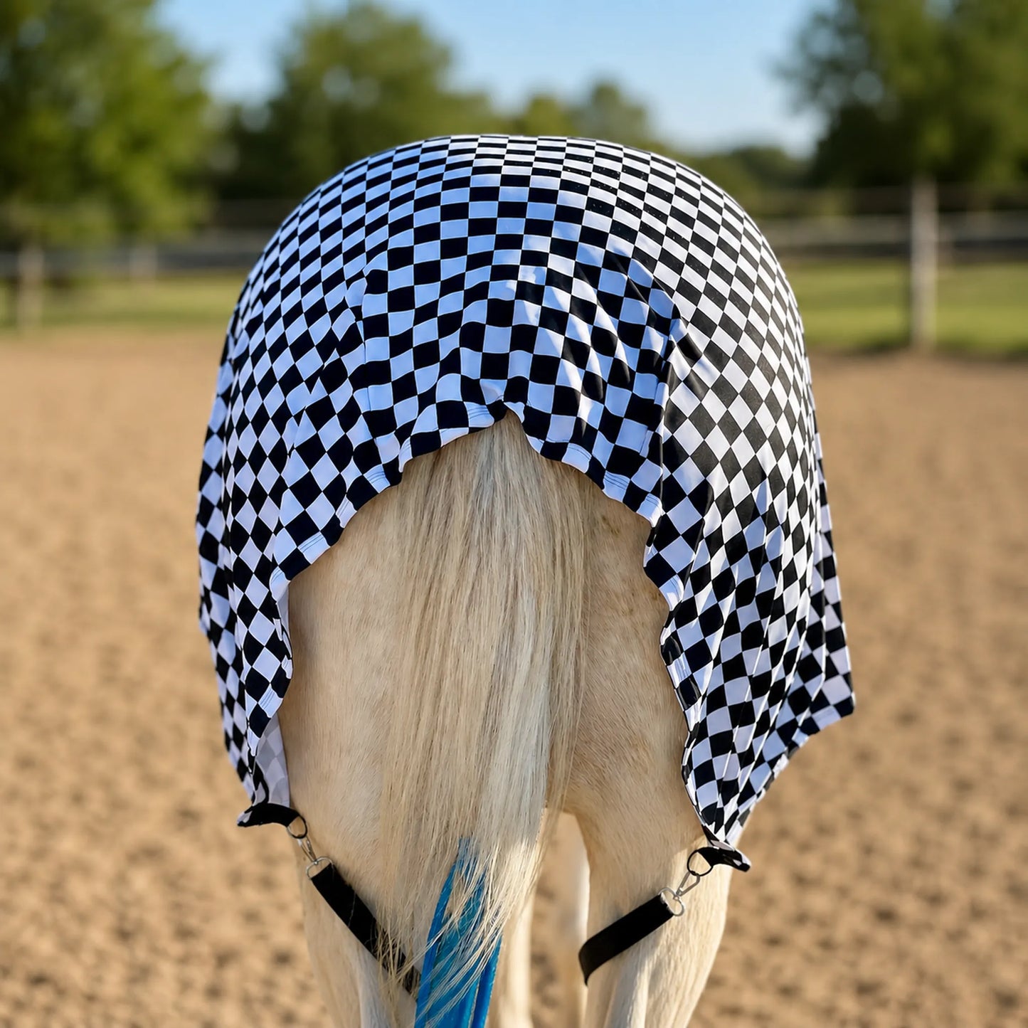 Print checkered black and white full body sleazy horse back view showing fitment on the horse