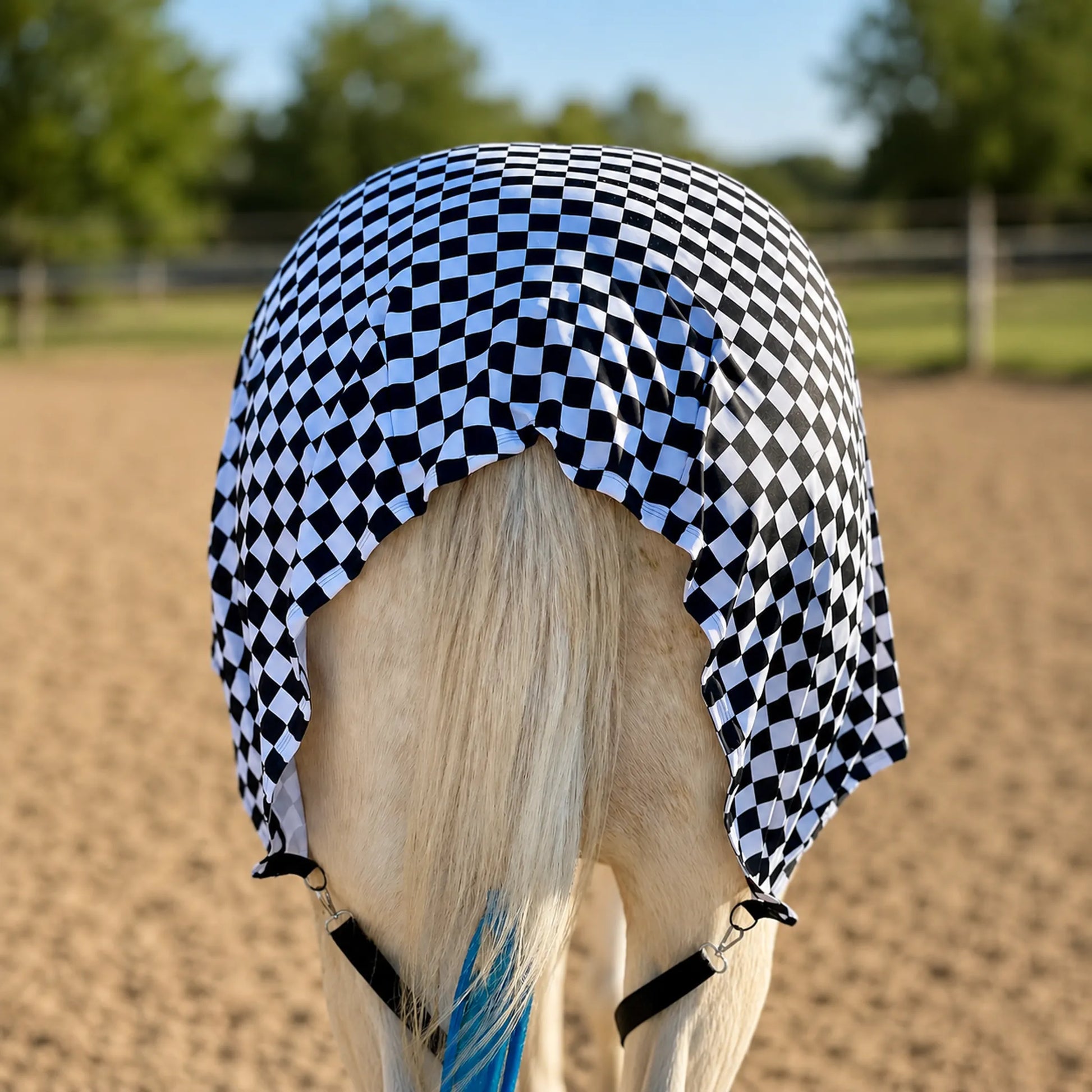 Print checkered black and white full body sleazy horse back view showing fitment on the horse
