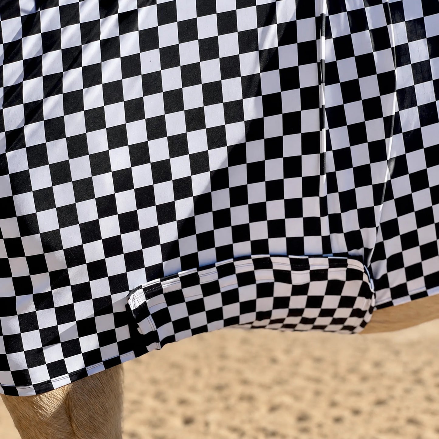 Print checkered black and white full body sleazy horse belly view
