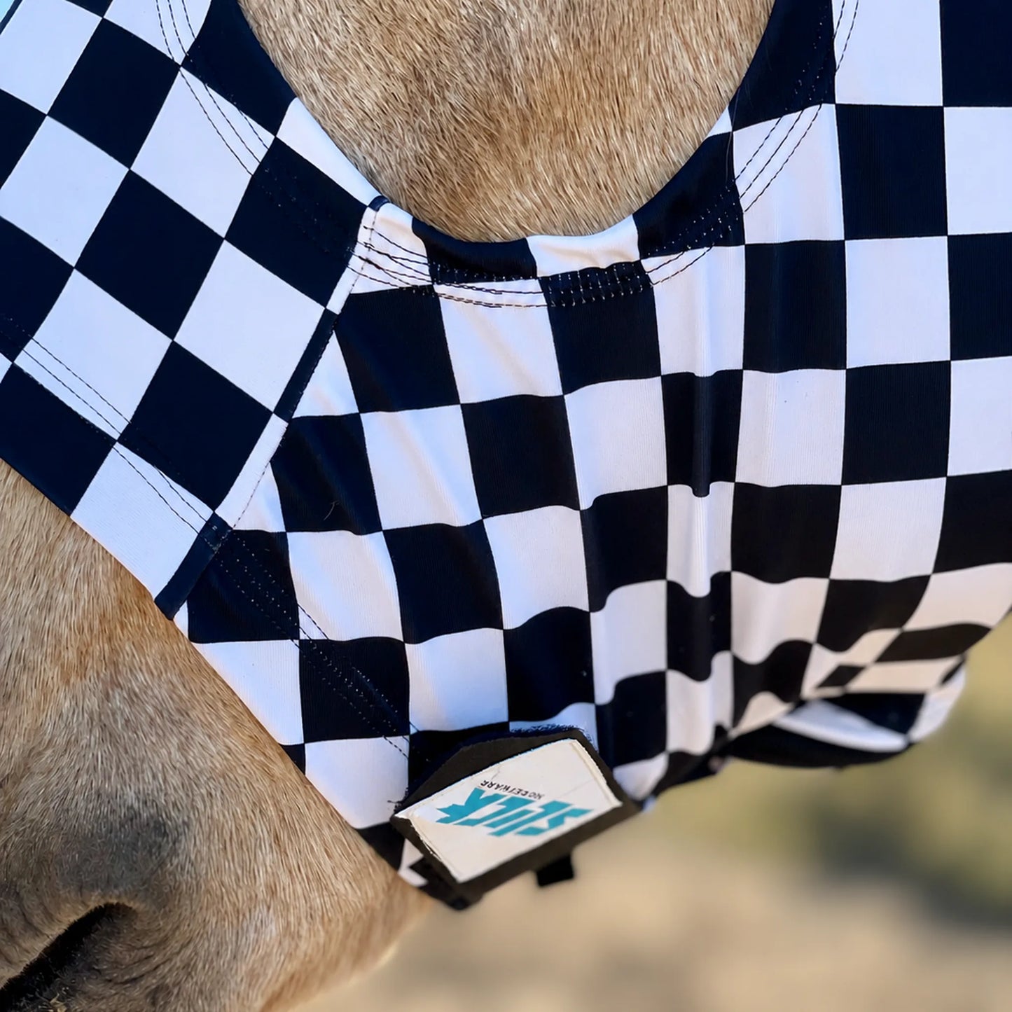 Print checkered black and white full body sleazy horse face view up close look