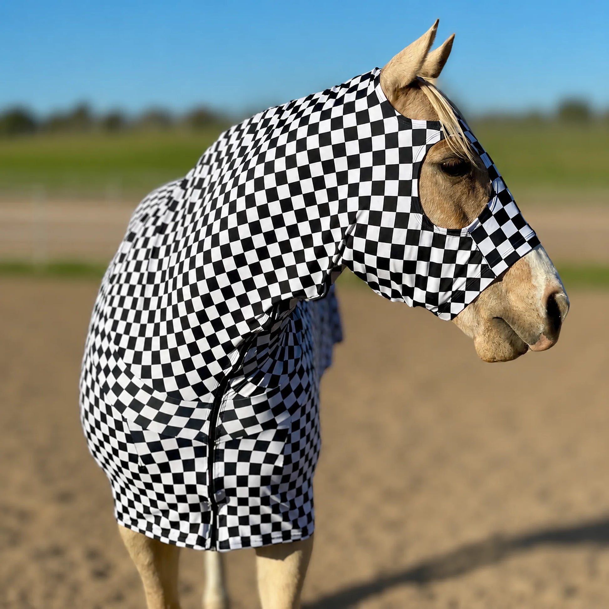 Print checkered black and white full body sleazy front view 