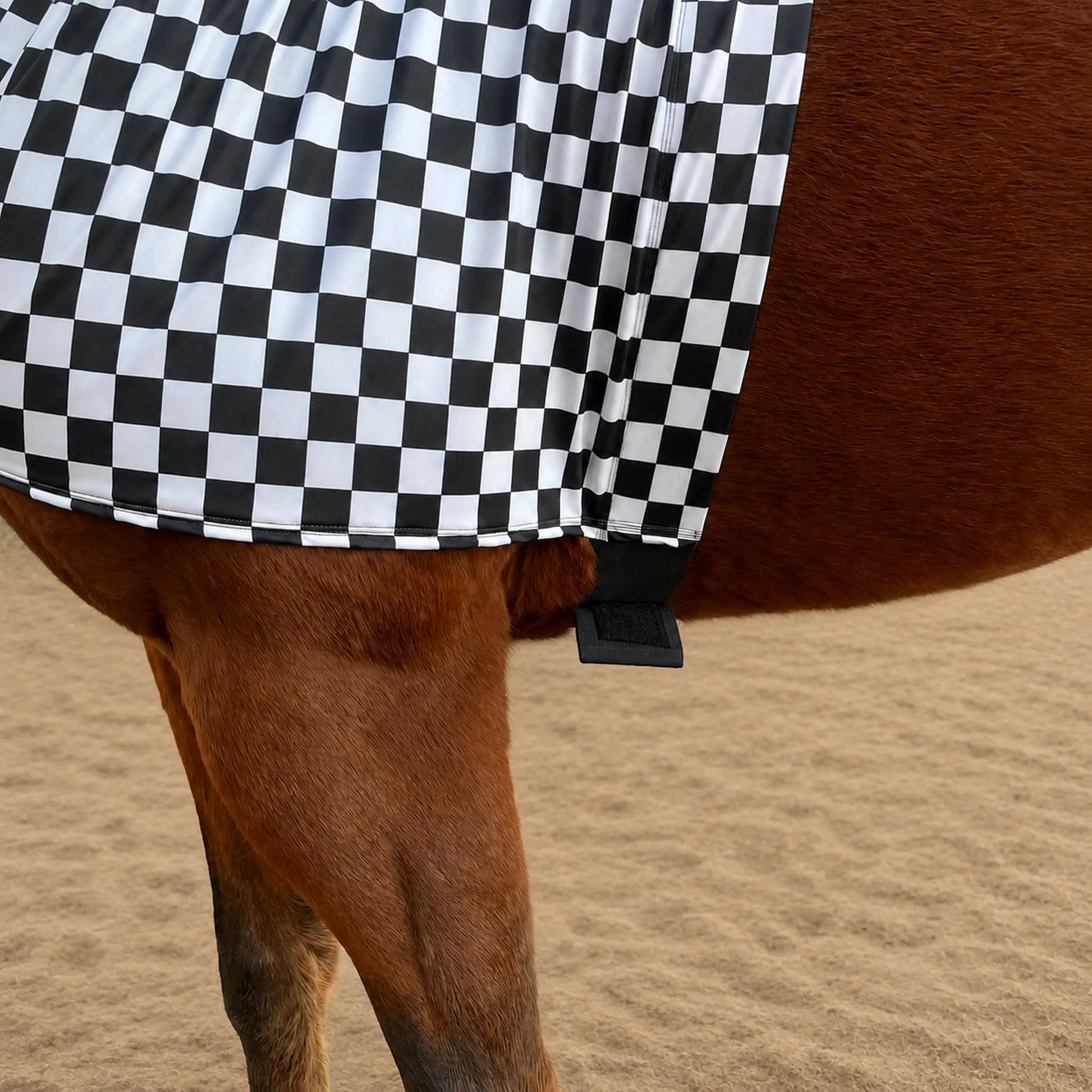 A close-up of a brown horse wearing a black and white checkered sleazy hood belly view, standing on a sandy ground.