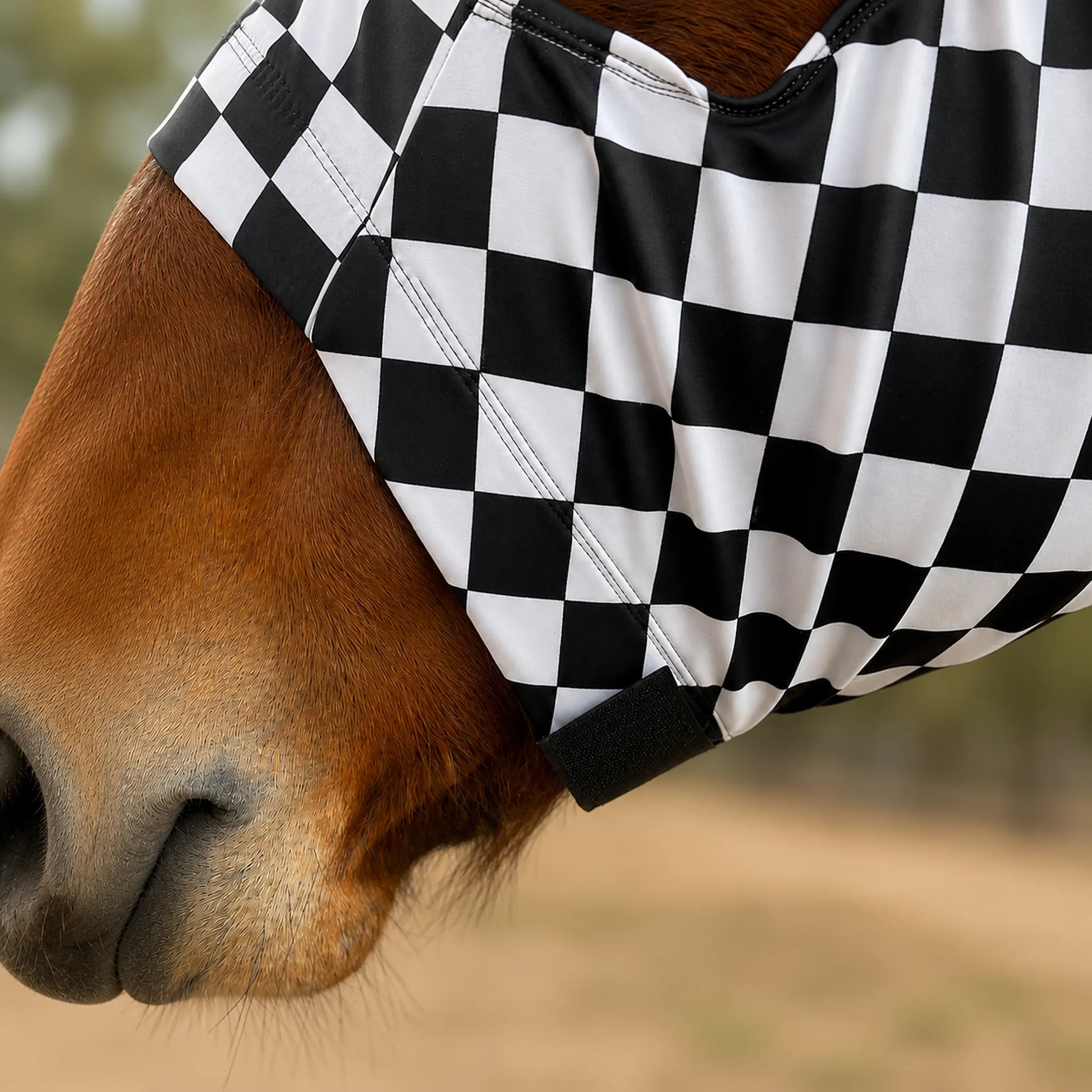 A close-up of a horse face wearing a black and white checkered hood, with the horse's brown face and muzzle visible against a blurred outdoor background.