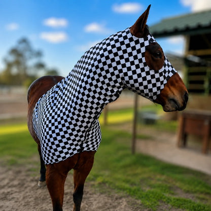 A brown horse standing outdoors in a stable area, wearing a fitted black-and-white checkered sleazy hood. The background shows grass, dirt, a blue sky with clouds, and a blurred stable structure.