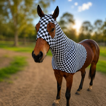 A brown horse standing on a dirt path in an outdoor arena, wearing a black-and-white checkered horse sleazy hood.