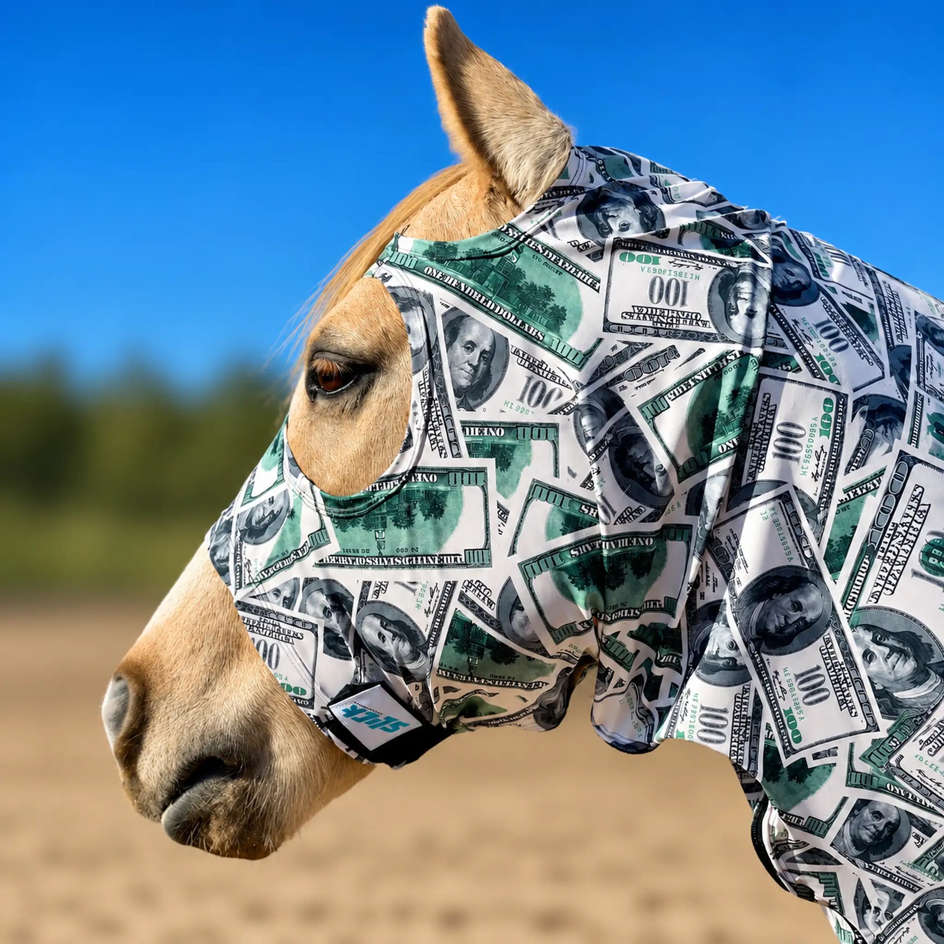 A close-up side profile of a horse wearing a printed money full body sleazy with a green and white US $100 bill pattern, set against a blurred background of blue sky and sandy ground.