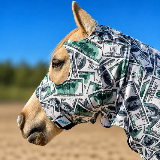 A close-up side profile of a horse wearing a printed money full body sleazy with a green and white US $100 bill pattern, set against a blurred background of blue sky and sandy ground.