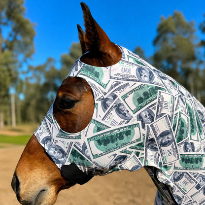 Horse wearing a print money sleazy hood with dollar bill pattern outdoors