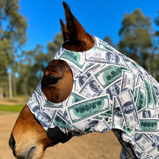 Horse wearing a print money sleazy hood with dollar bill pattern outdoors