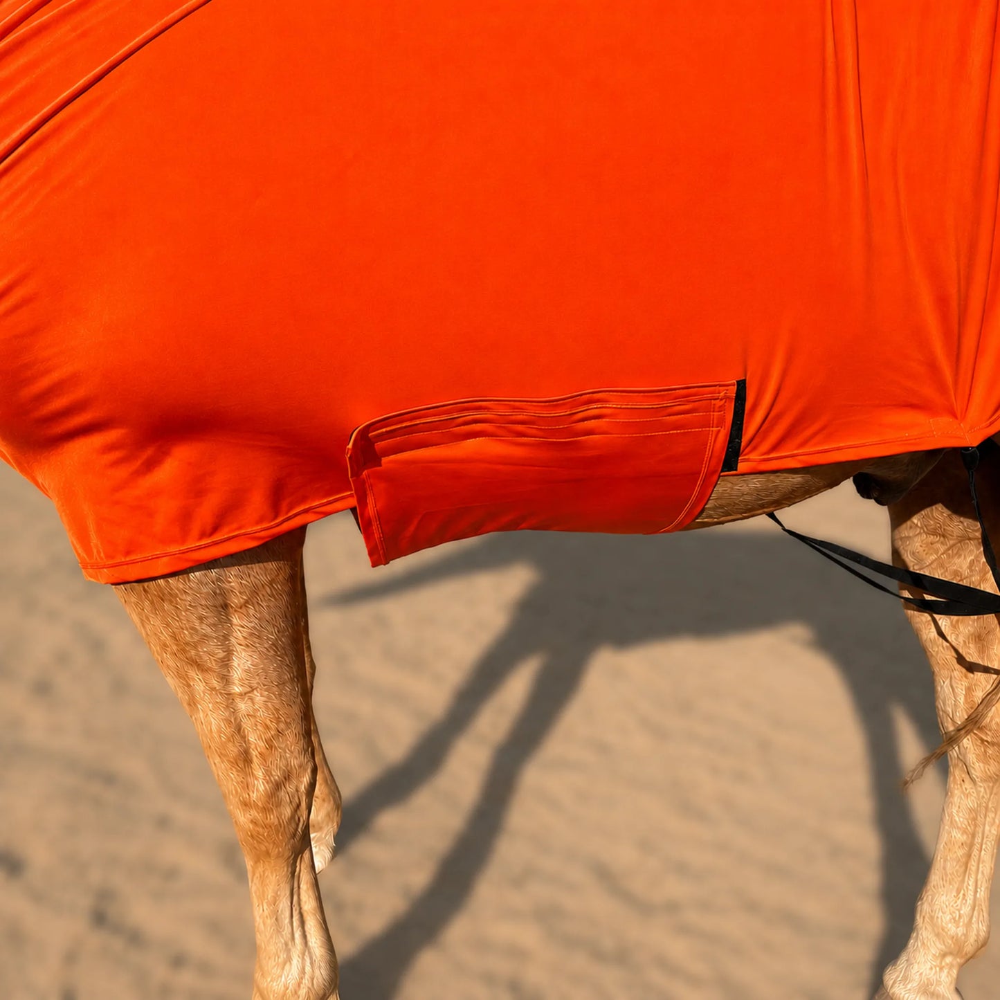 Bright orange faceless full body sleazy horse shown on a horse's body in a sandy outdoor setting, with the horse's legs visible and a shadow cast on the ground.