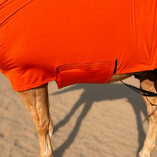 Bright orange faceless full body sleazy horse shown on a horse's body in a sandy outdoor setting, with the horse's legs visible and a shadow cast on the ground.