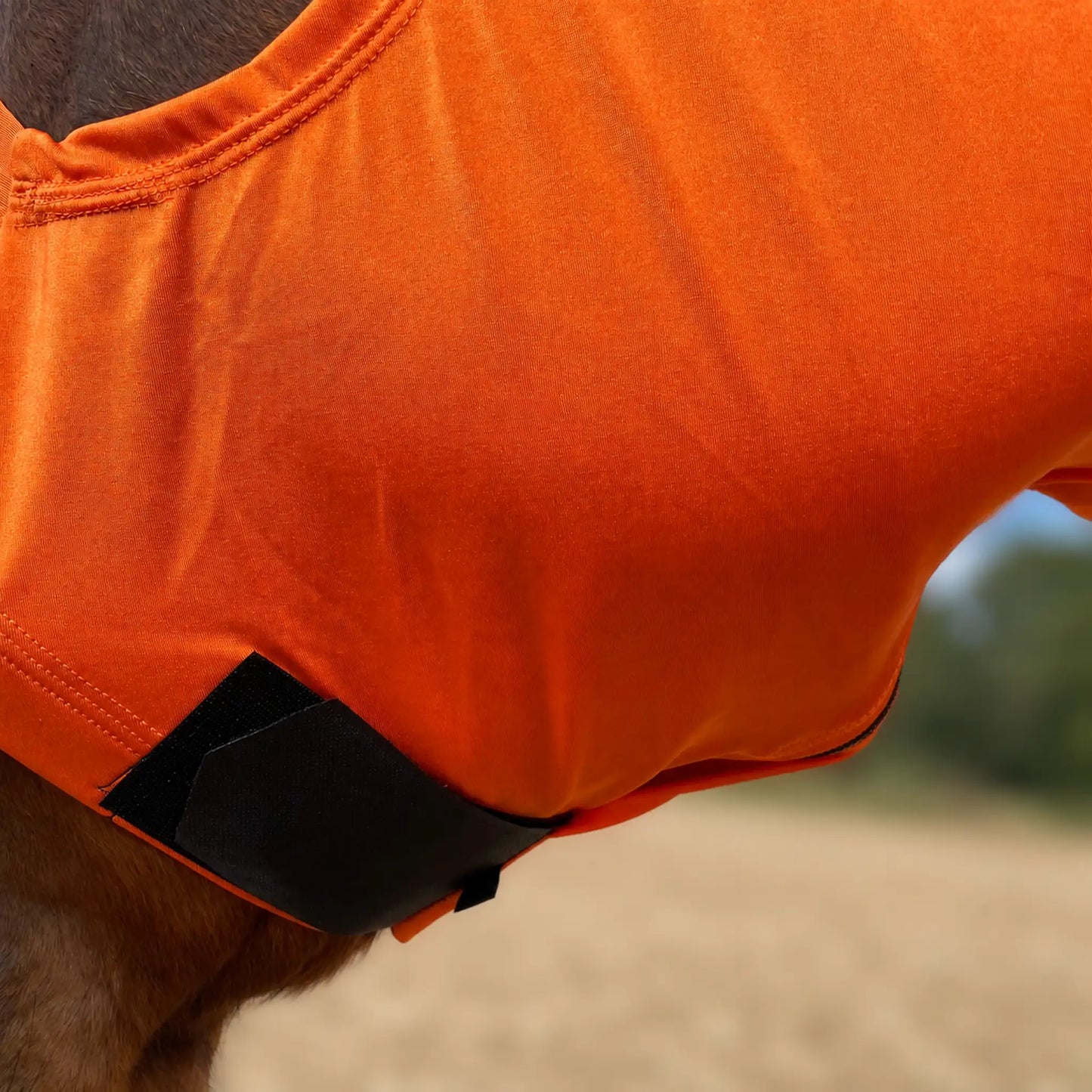 Close-up of an orange sleazy hood with a black hook-and-loop closure strap, shown on a horse in an outdoor field.