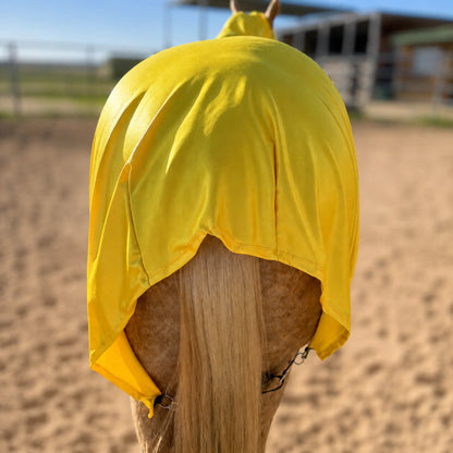 A bright yellow full body sleazy horse cover draped over the back of a horse, shown in an outdoor stable arena with sand and a stable in the background.