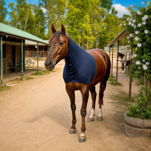 Horse wearing a superflex black faceless hood standing on a dirt path with trees and buildings in the background