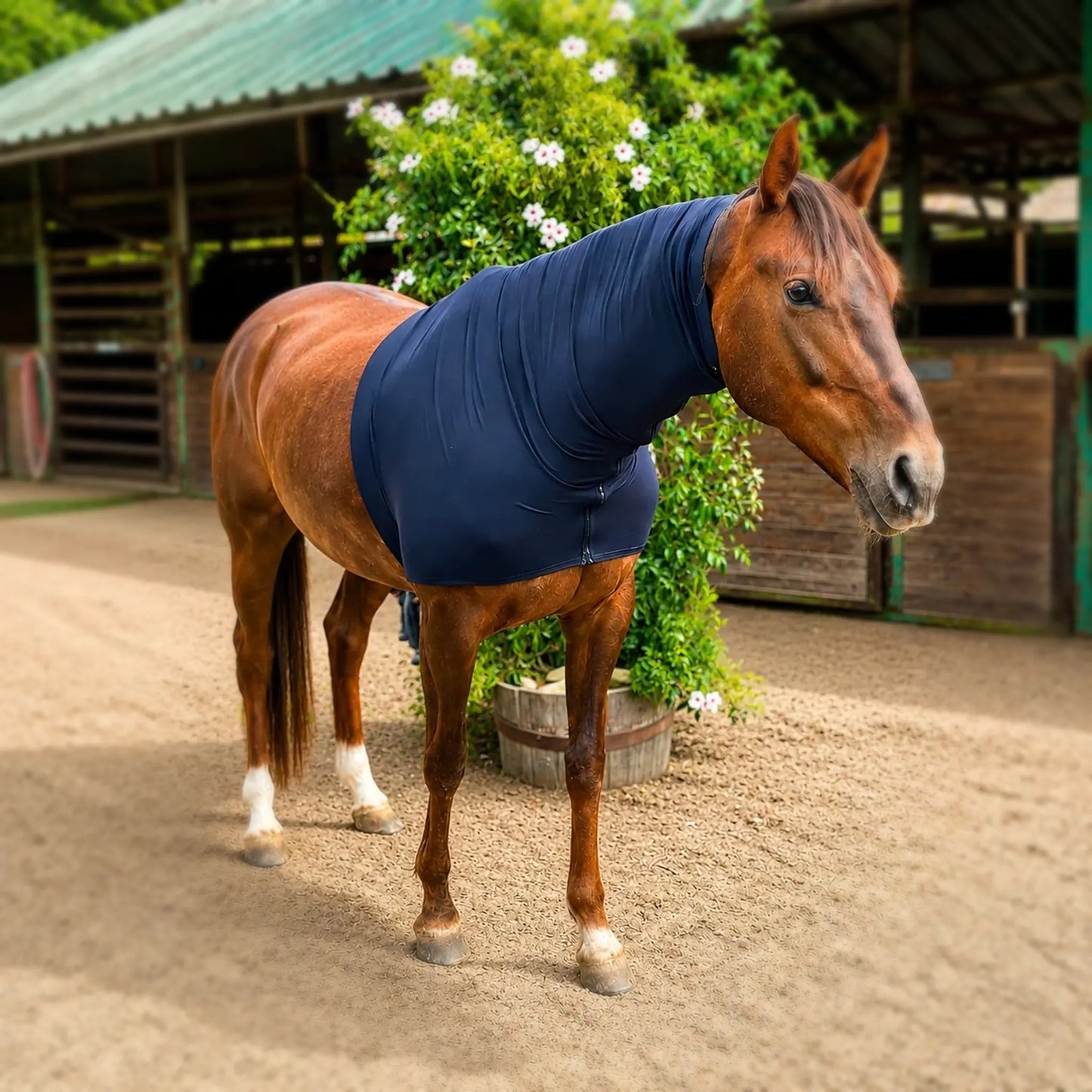 Horse wearing a superflex black heavy weight faceless sleazy hood standing in an outdoor stable area.