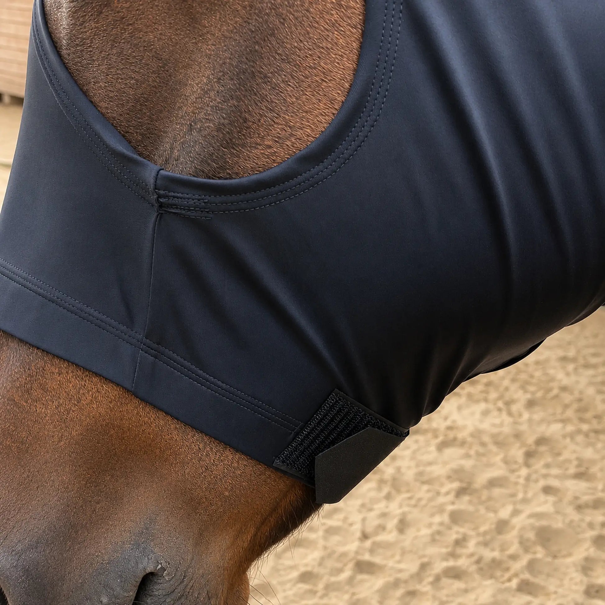 Superflex black sleazy hood close up of horses face.
