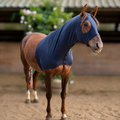 A brown horse standing in a sandy arena wearing a superflex black sleazy hood heavy weight lycra, with blurred greenery and a stable in the background.