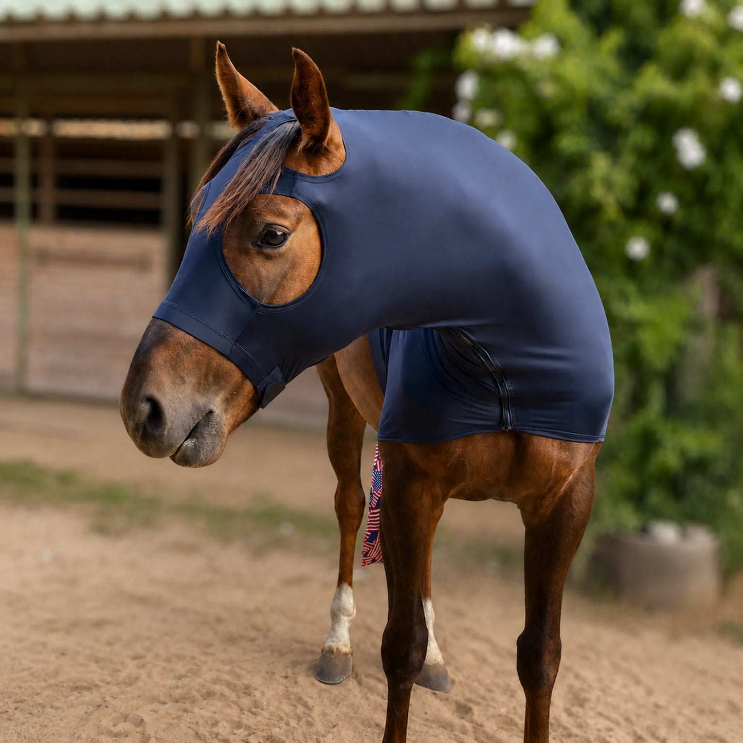 A brown horse standing outdoors in a stable yard, wearing a superflex black hood that covers most of its body and head, with a small multicolor tag near the lower leg.