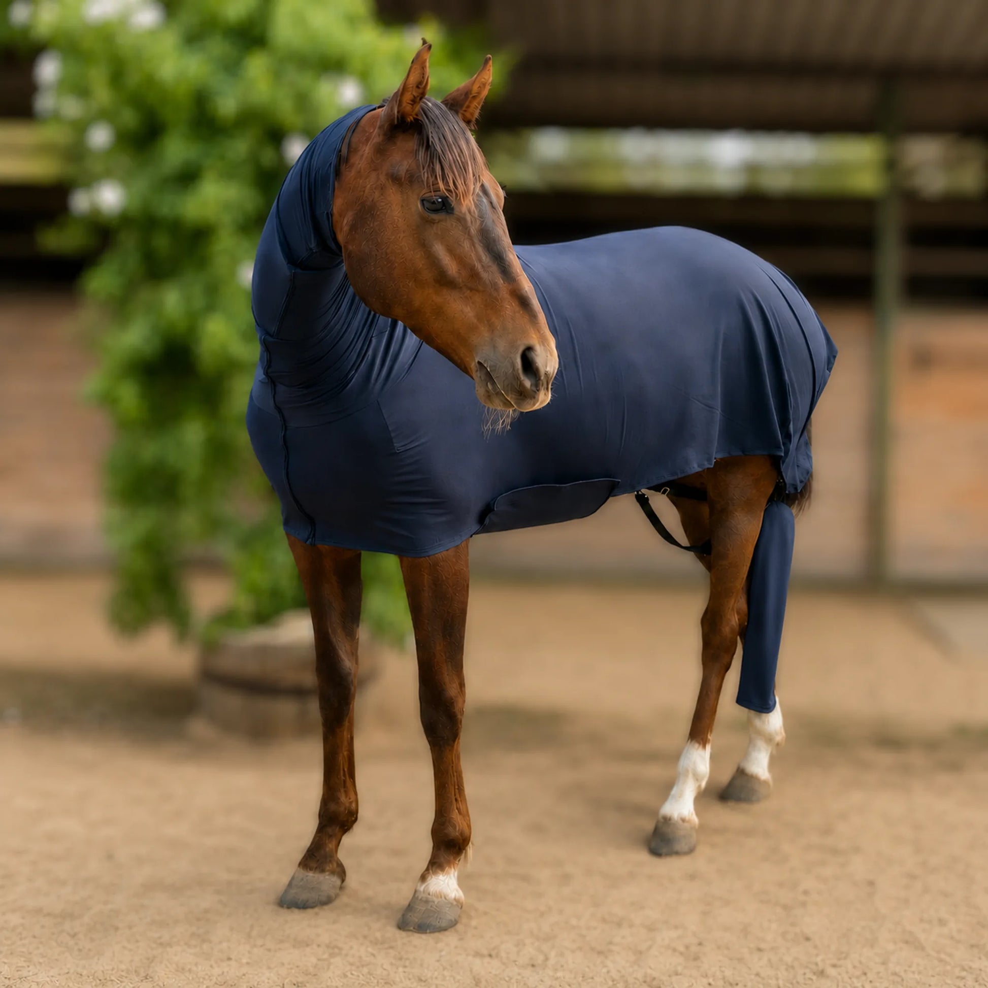 black superflex compression faceless full body sleazy horse left view in front of barn. this is a heavy weight material