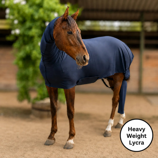A brown horse wearing a Heavy weight faceless full body sleazy in an outdoor stable setting, with a white circular label in the bottom right reading 'Heavy Weight Lycra'.