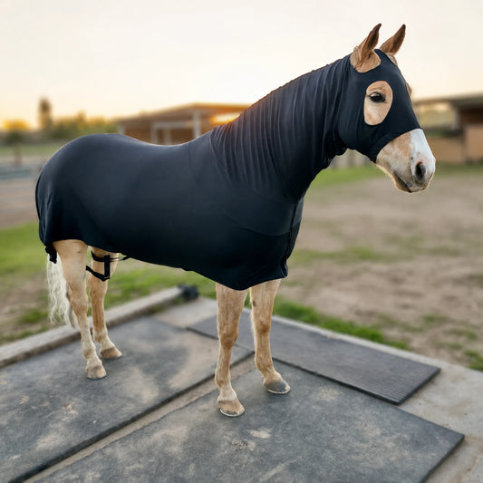 black superflex compression full body sleazy horse right view full body image 