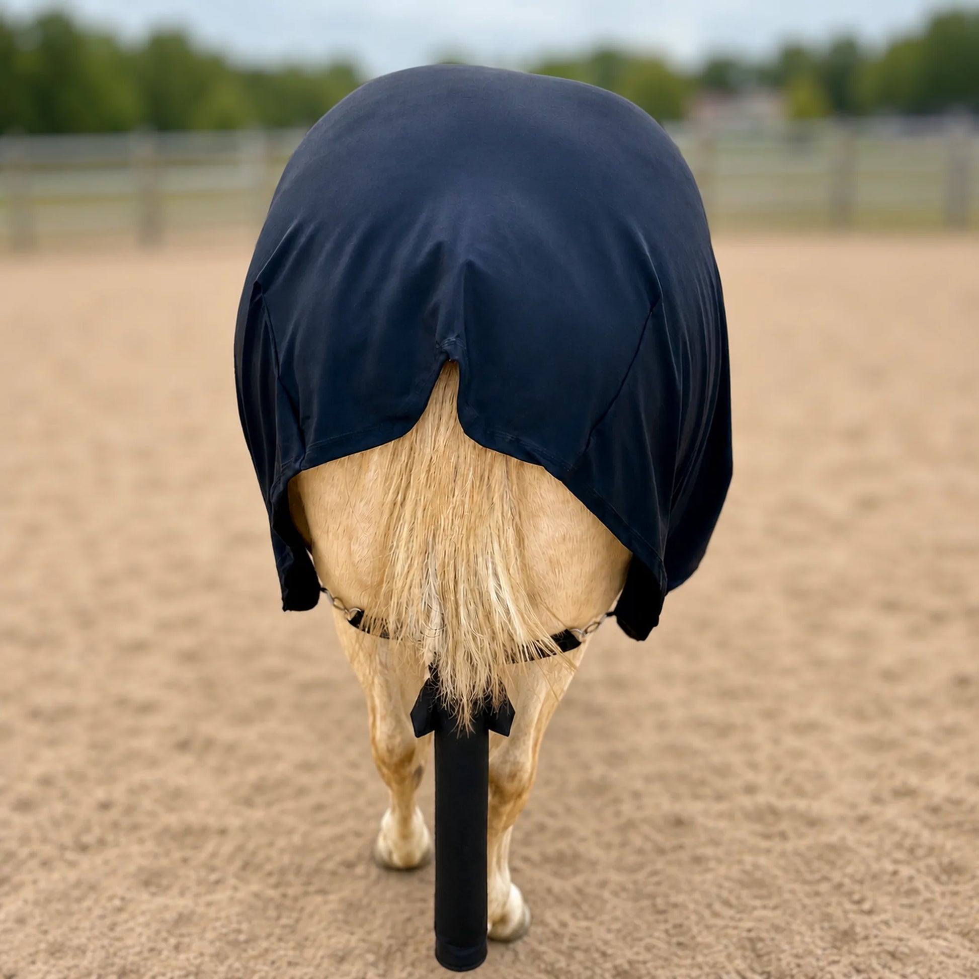 black superflex compression faceless full body sleazy horse back view showing fitment.