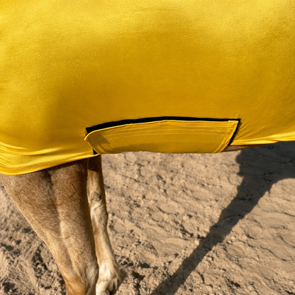 Yellow Full Body Sleazy